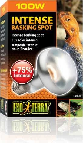 „Exoterra“ – intensyviai besileidžianti lemputė – oranžinė – 100 W S25 E27