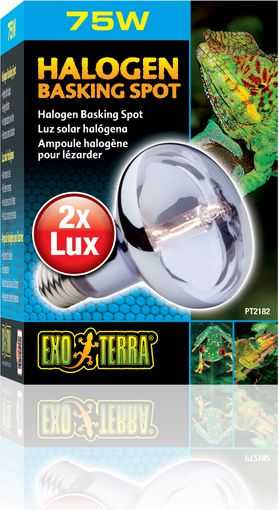 Exo Terra Hagen