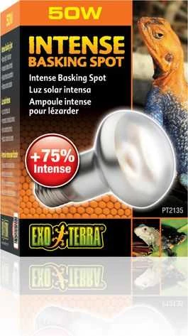 Exoterra „Exo Terra“ – intensyviai šviečianti kepimo lempa 50W S20 E27 oranžinė – (220.2450)