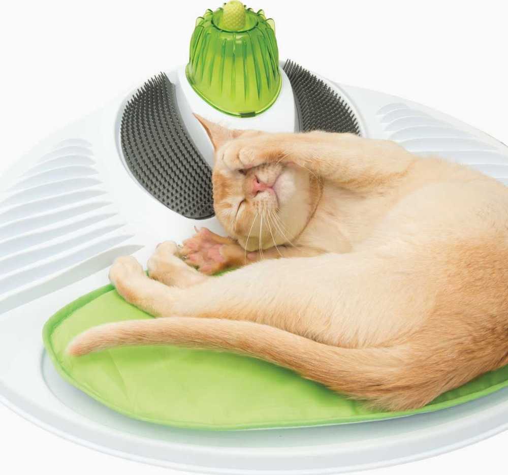 Hagen Cat Catit sveikatingumo centro masažo salonas