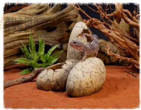 Exo Terra Hagen DINOSAUROS DEKLARACIJA Vištos