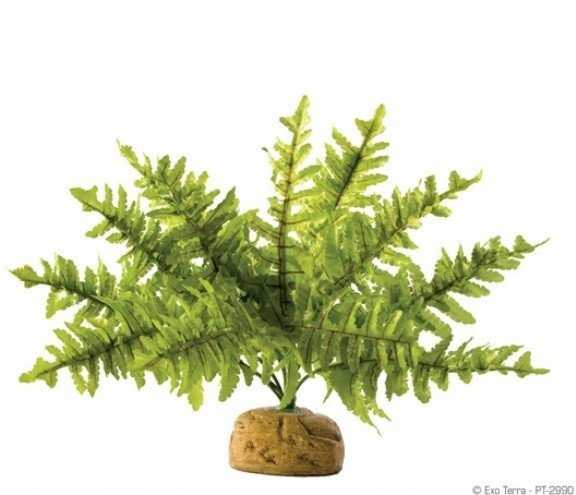 Exo Terra Hagen HAG.ROSL.D/TERRAR.BOSTON GERN 22CM 2990 - 58780