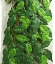 Hagen Fluval Exo Terra šilkinis fikusas terariumui 55cm