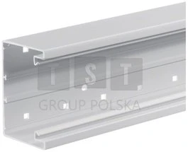 Hager Polo BRP6510019016 tehaselit.BRP PVC kanalo pagrindas 65x100, baltas BRP6510019016 /2m