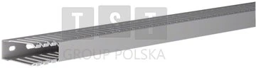 Hager Polo DNG5002007030B tehaselito šukuotas kanalas DNG 50x20mm PVC pilkas DNG5002007030B /2m/