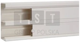 Hager Polo GBD5013109016 tehaselit.GBD Elektros instaliacijos kanalas 50x130mm 2 kamerų baltas GBD5013109016 /2m
