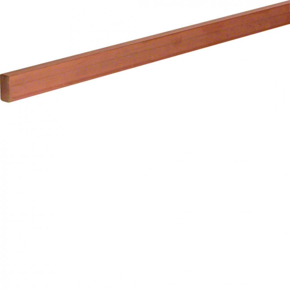 Hager CU bėgelis 20X10MM 4 polių