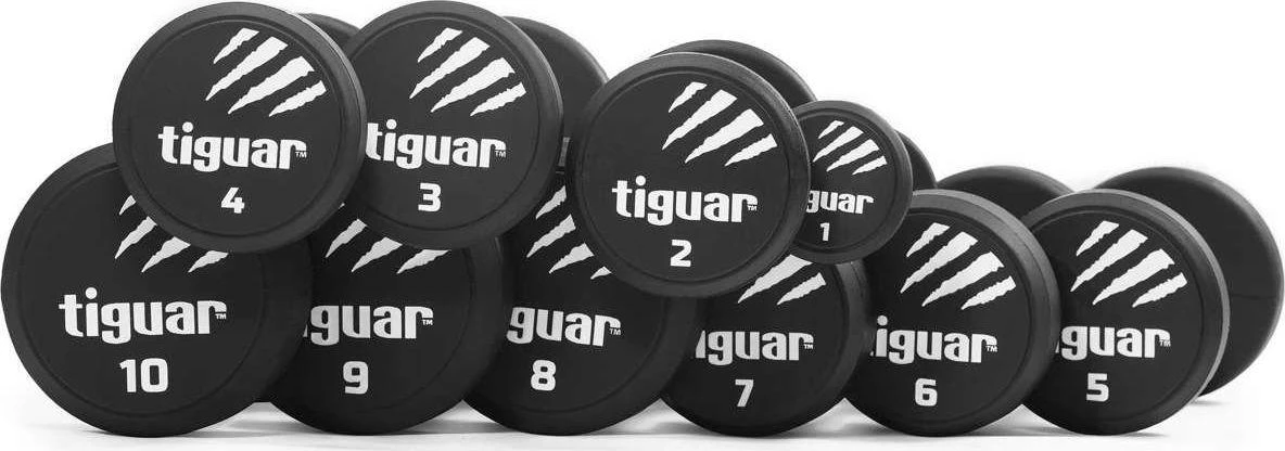 Profesionalių PU svarmenų / hantelių rinkinys TIGUAR 1–10 kg