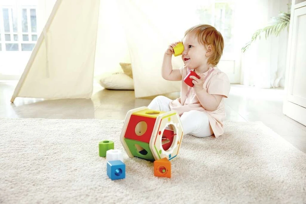 Hape HAPE blokeliai Shape Sorter, E0516A