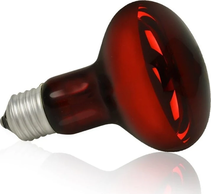 Happet Šildanti naktinė UVA 50W lempa
