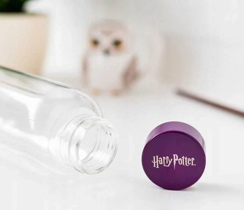 Harry Potter Haris Poteris - 500 ml stiklinis vandens butelis (Hogvartsas)