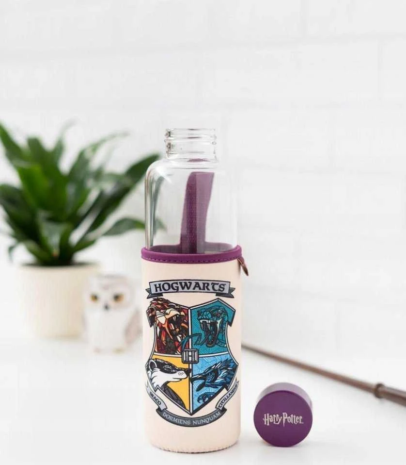 Harry Potter Haris Poteris - 500 ml stiklinis vandens butelis (Hogvartsas)
