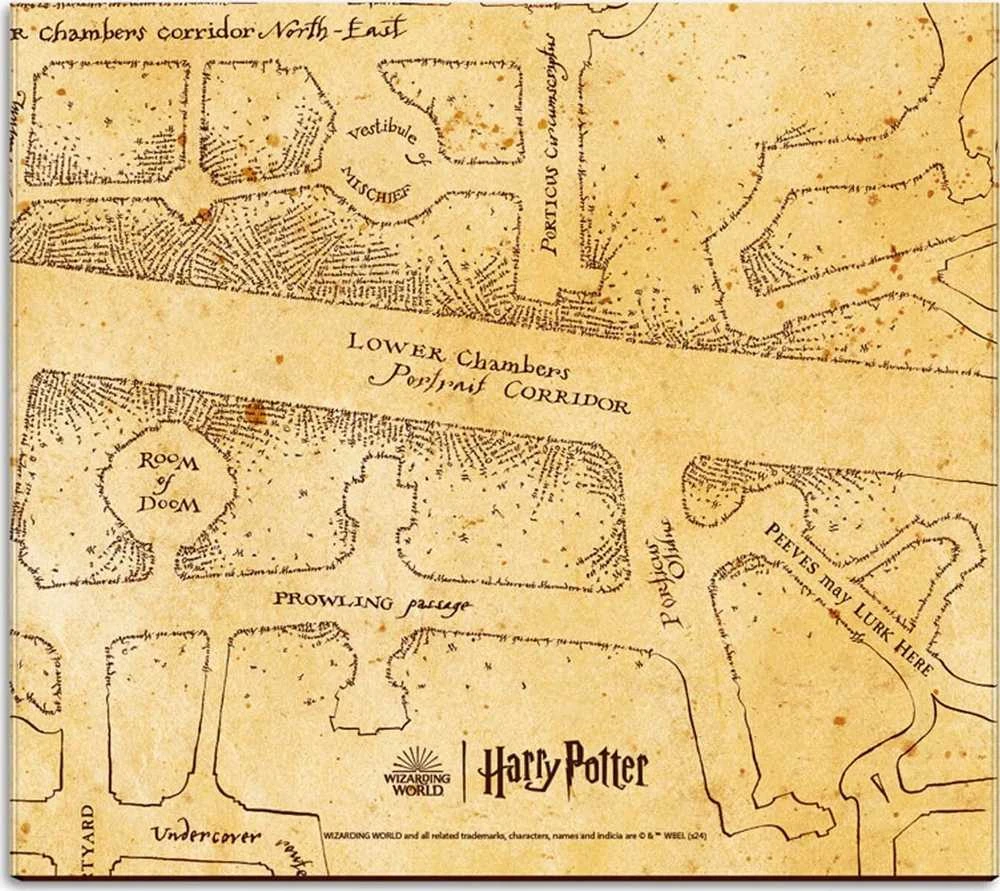 Harry Potter Haris Poteris - Savaitės planuoklis su lipniais lapeliais (19,3 x 16,5 cm)