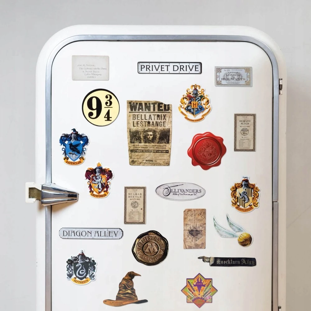 Pyramid Harry Potter (Wizardry) magnetukų rinkinys