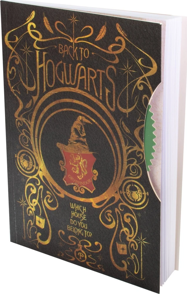 Atsiprašau, bet pateiktas įvesties tekstas yra tik „Harry Potter ThumbsUP! Notizbuch - Harry Potter“. Šiame tekste nėra lenkiškų žodžių, kuriuos reikėtų išversti, ir nėra papildomo konteksto ar ilgesnio aprašymo, kurį reikėtų versti. Visi žodžiai (Harry Potter, ThumbsUP!, Notizbuch) yra prekės ženklai, modelių pavadinimai arba svetimžodžiai, kurių nereikia versti pagal taisykles. Jei turite ilgesnį produktų aprašymą su lenkiškais žodžiais, prašau pateikti jį, ir aš jį išversiu į lietuvių kalbą.