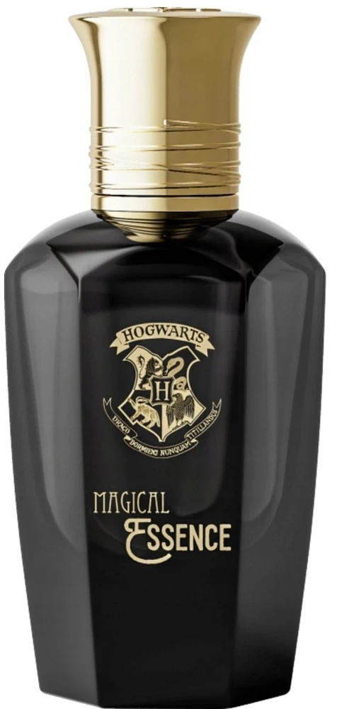 Harry Potter Vanduo perfumowana Magical Essence Ambition For Men 50 ml For Men