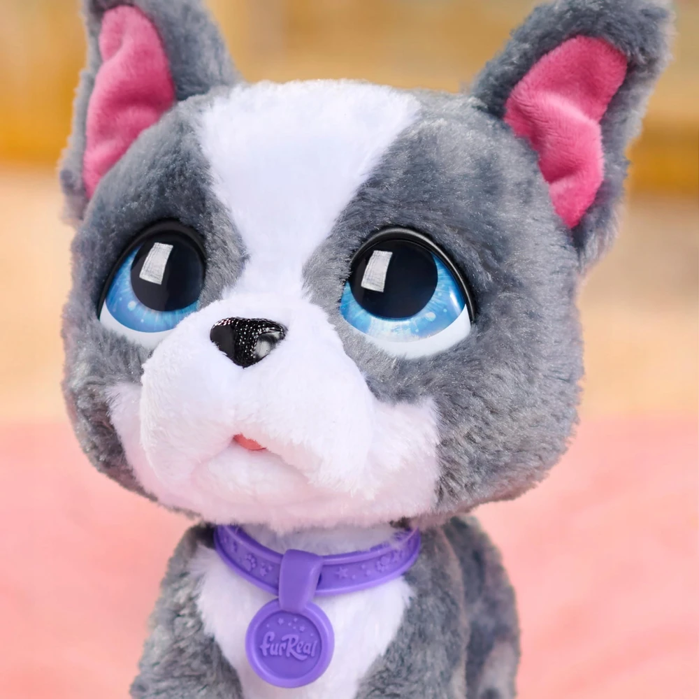 Hasbro „FurReal“ – „Walk-A-Lots“ – prancūzų buldogas (272-28161)