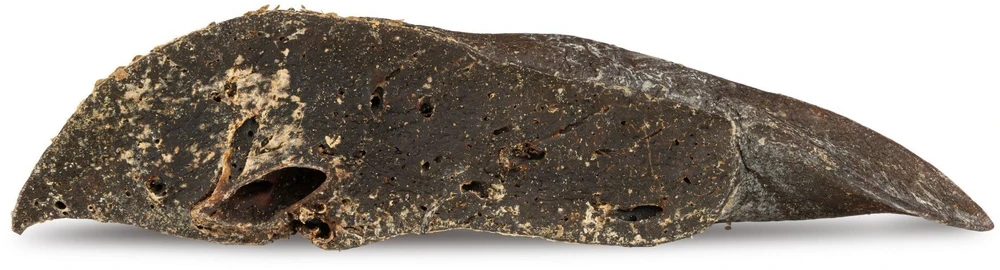 Hau&Miau Puzzo Snack, ėriuko kepenėlių traškučiai, 6x3 cm, 150g