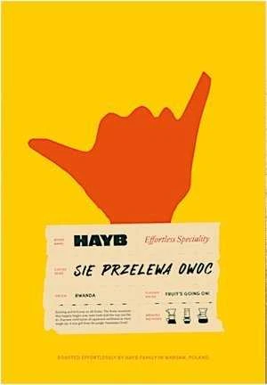 HAYB - IT OVERFLOWS vaisių plovimo filtras 1kg