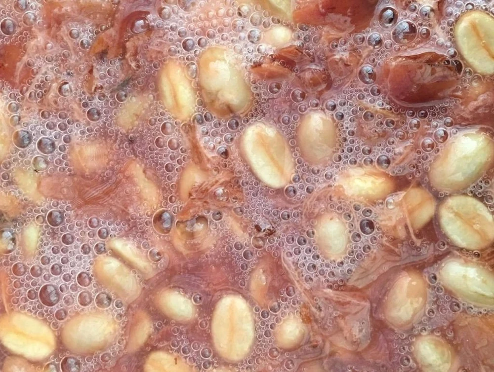 Kavos pupelės Muhabura Kavos pupelės RWANDA MUHABURA FUNKY ANAEROBIC ESPRESSO 400g