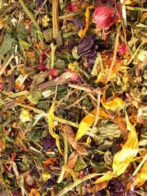 Herbal Pets Žolelių augintiniai BITTLE ŠINČILAI IR KINIEMS