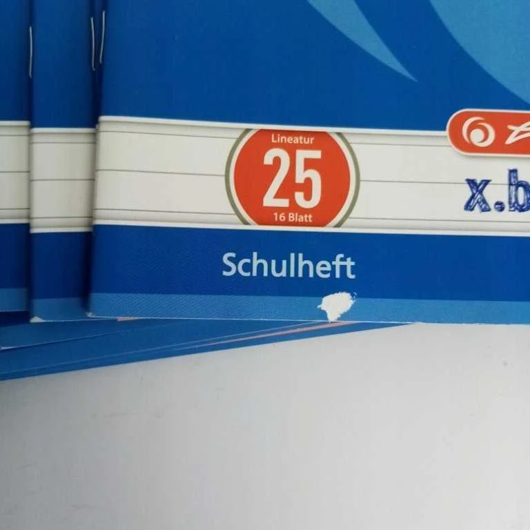 Herlitz Herlitz Hefte x.book A4/16 Lin.25 FSC Mix