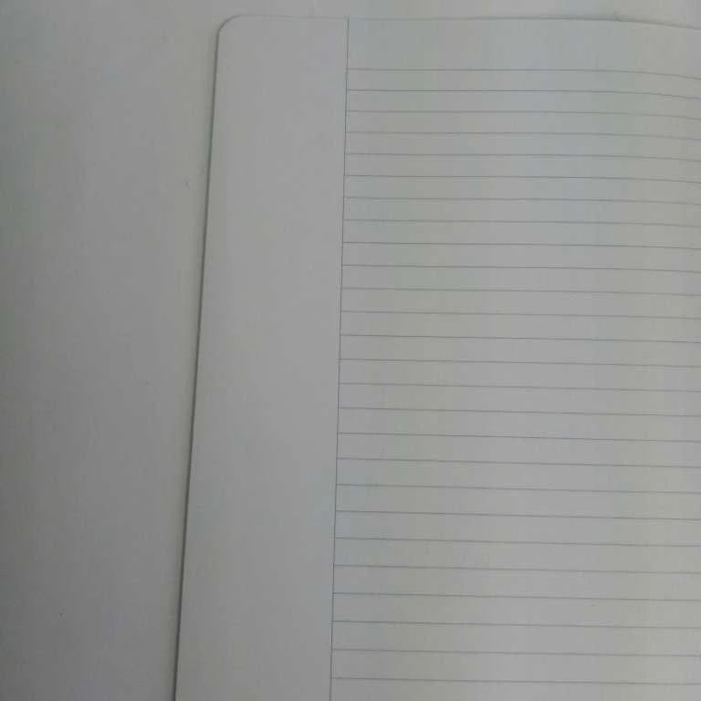 Herlitz Herlitz Hefte x.book A4/16 Lin.25 FSC Mix