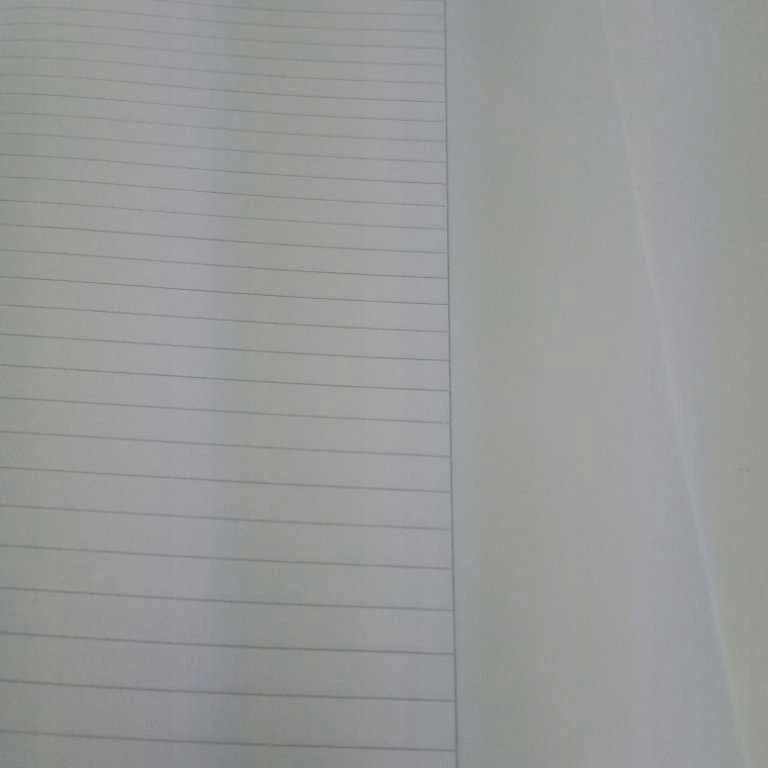 Herlitz Herlitz Hefte x.book A4/16 Lin.25 FSC Mix