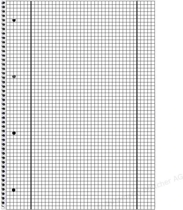 Herlitz Zeszyt A4, 80 stron (306456)
