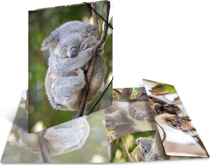 Herma Folder A4 blizgus koala