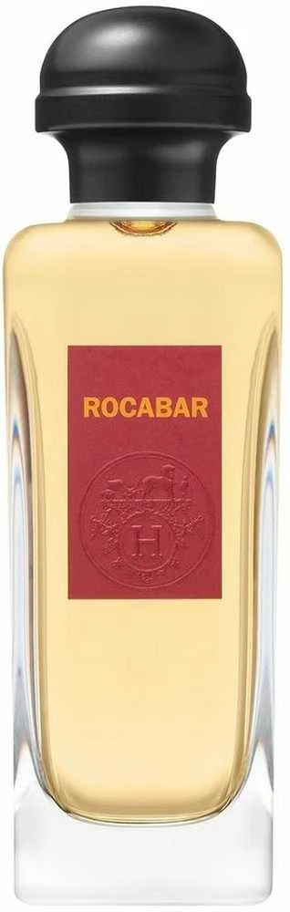 Kvepalai Hermès Rocabar ir 100 Vp