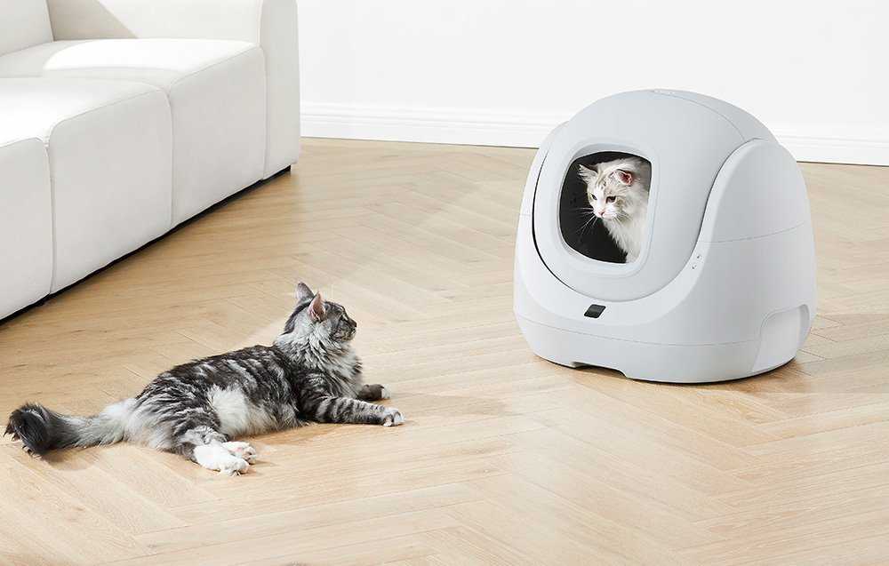 Išmani savaime išsivalanti kačių kraiko dėžė Catlink BayMax Lite Version