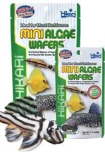 Hikari Mini Algae wafers 22g