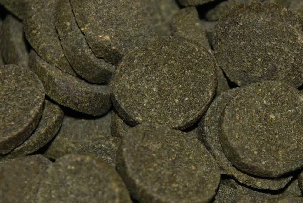 Hikari Mini Algae wafers 22g