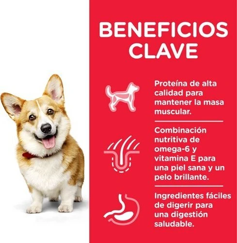 Hill's Dog Science Plan Adult Small & Miniature vištiena & kalakutiena sausas Maistas šunims 6kg