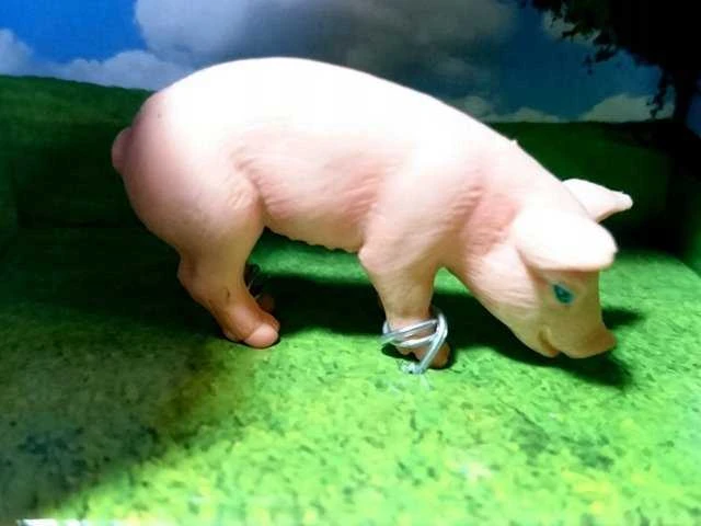 Hipo Farma Pets avinė kiaulė ožka 570449 06905
