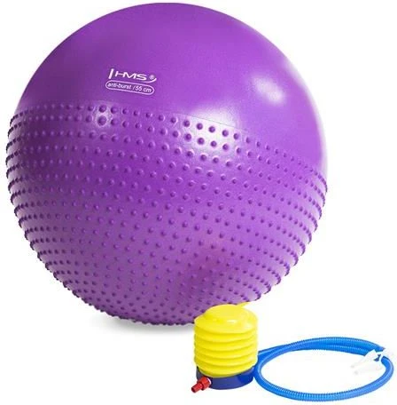 Naujas gimnastikos kamuolys HMS YB03, 55 cm, violetinis