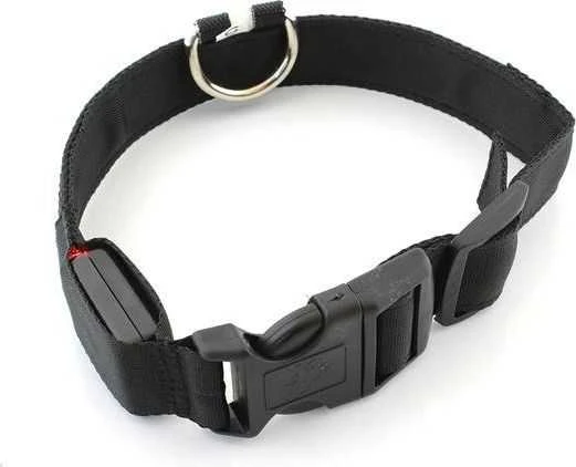 Ag232 Šviečiantis LED antkaklis