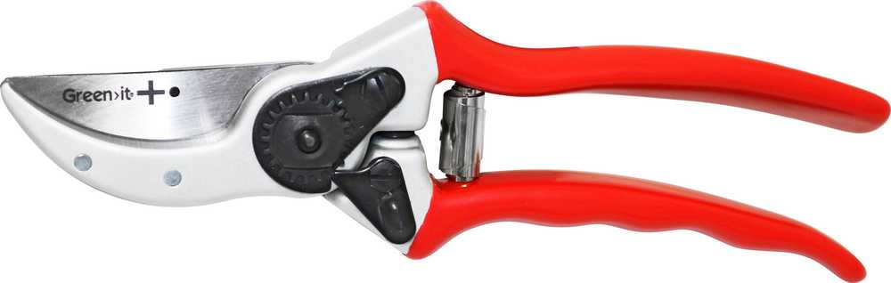 Sekator Home It nuoma