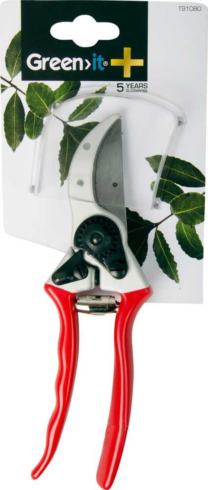 Sekator Home It nuoma