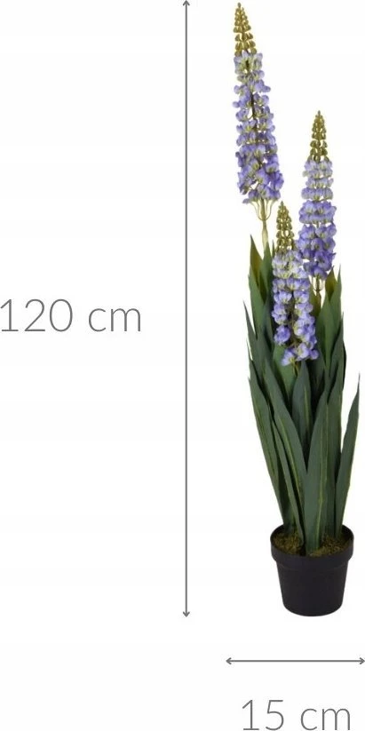 Dirbtiniai lubinai vazone su matmenų schema