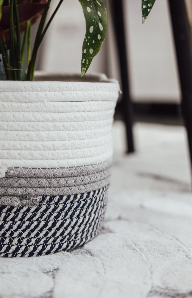 Home Styling Collection Cotton Medvilninis laikymo krepšelis, 3 vnt