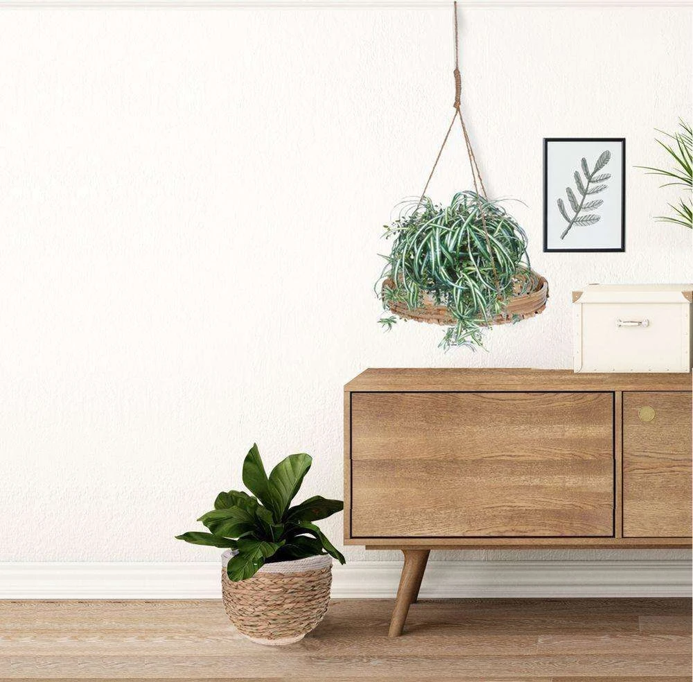 Home Styling Collection Pakabinamas gėlių stovas, pakabinamas pagrindas vazonui, augalui, 30 cm