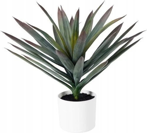 Home Styling Collection ORNO dekoratyvinis dirbtinis augalas, Ø 40 x 50 cm, agava baltame vazone