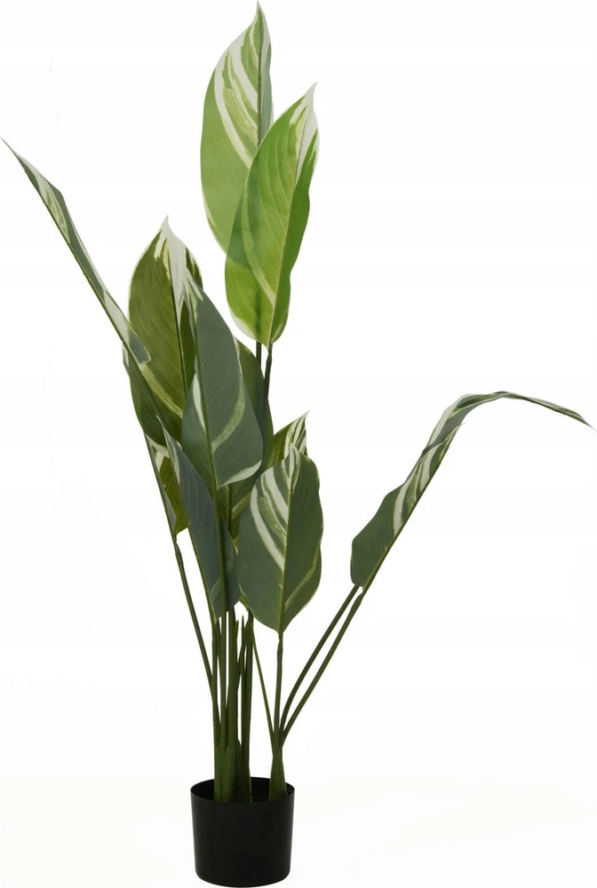 Home Styling Collection Dirbtinis augalas dideliais lapais, 118 cm