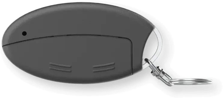 HomeMatic rakto pakabukas IP prieiga V2 (160733A0)