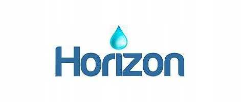 HORIZON DARBINĖS KELNĖS PO GIMdymo 40-44 2 vnt