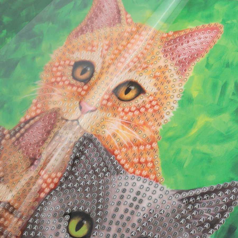 Craft Buddy „Hot Wheels“ katės, 18x18 cm krištolinis meno kartonas