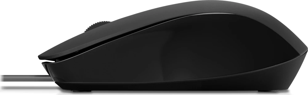 Hewlett Packard (HP) „HP 150 Pelė“ (240J6AA)