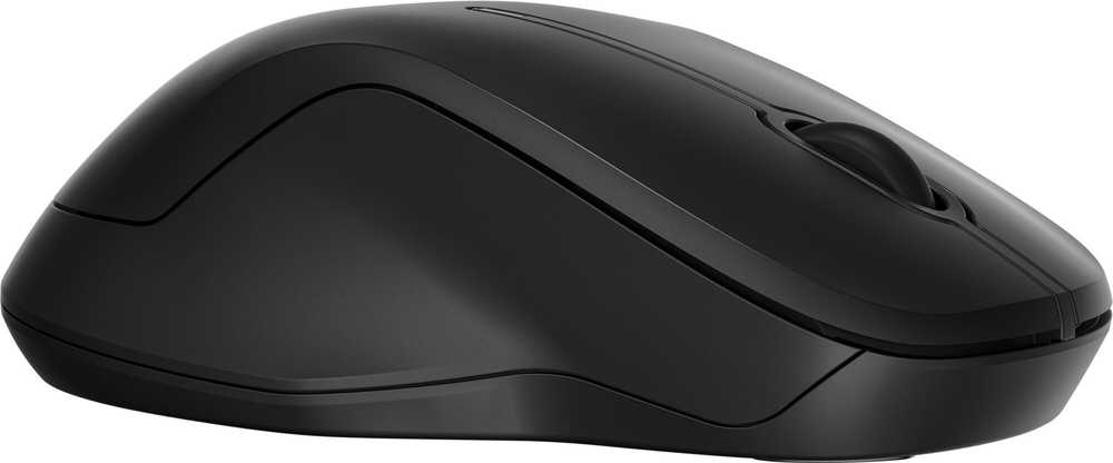 Pelė HP 255 Dual juoda (8R3U1UT)
